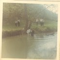 Baptise148