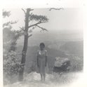 DorisAllen012