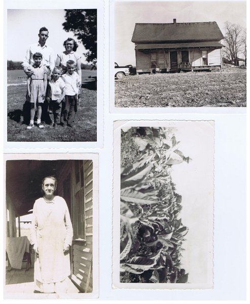 Pictures 006