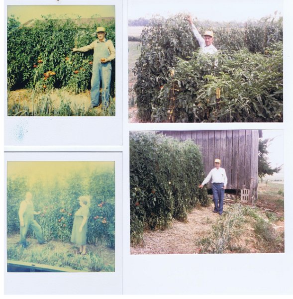 Pictures 020