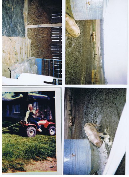 Pictures 023