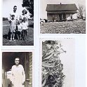 Pictures 006