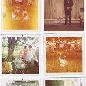 Pictures 011