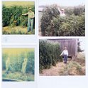 Pictures 020