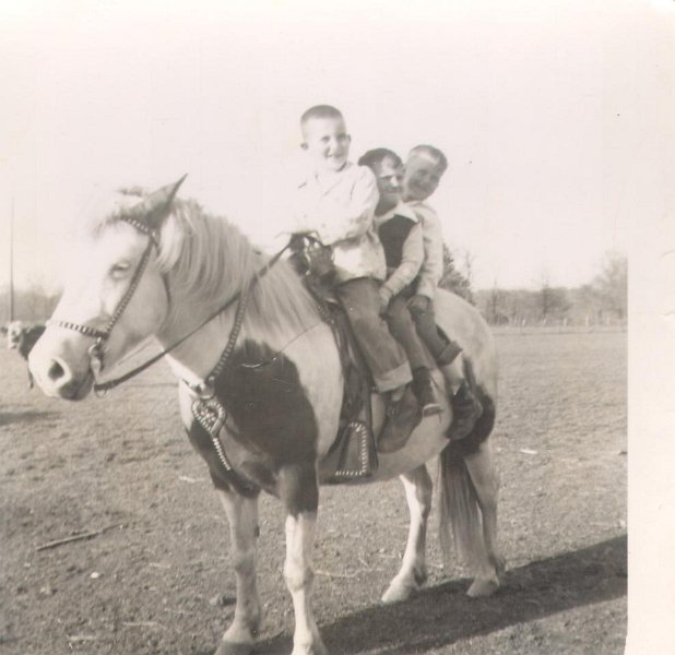 Horse - JayHarrington, TerryAllgood, BruceRoberson168