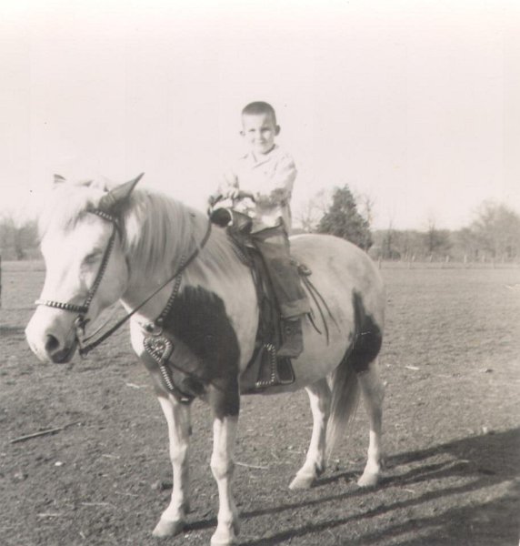 Horse - JayHarrington170