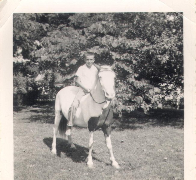 Horse - JimmyRoberson218