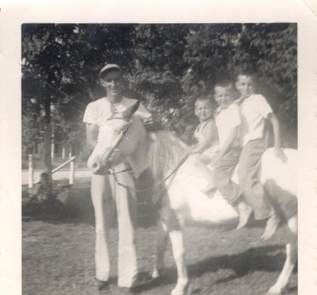 Horse - Potter, Jimmy, Raymond, and Bruce Roberson213
