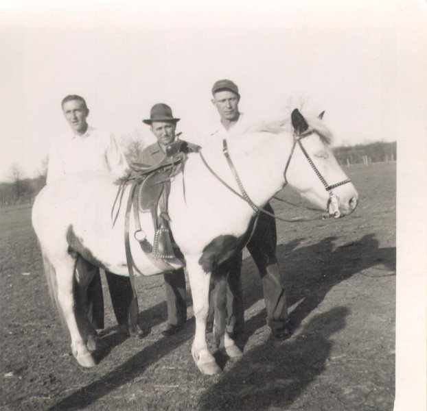 Horse - PotterRoberson, HowardAllgood, Wade Blair165