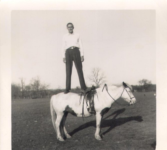 Horse - PotterRoberson172