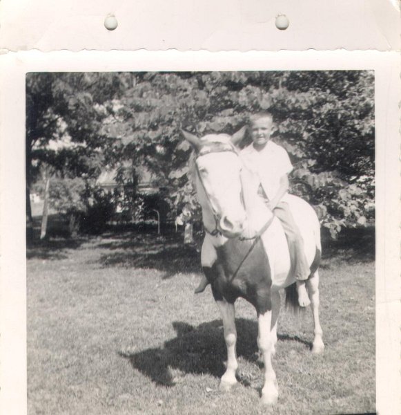Horse - RaymondRoberson191