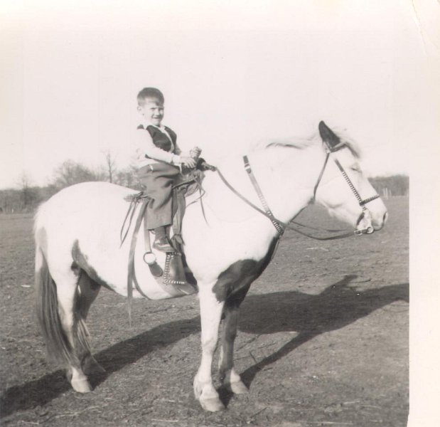 Horse - TerryAllgood167