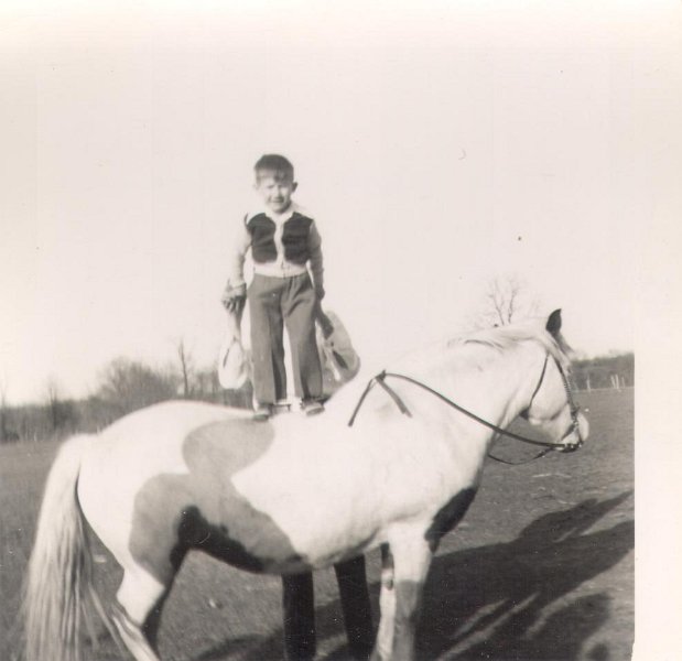 Horse - TerryAllgood222