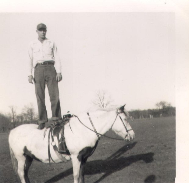 Horse - WadeBlair169