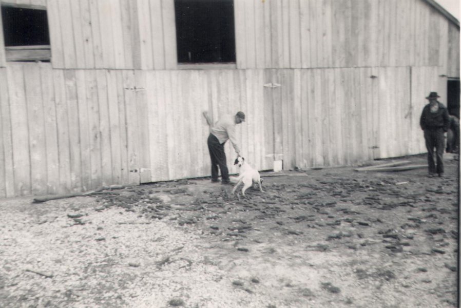 Wade Blainr and Leo Lyons241