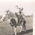 Horse - JayHarrington, TerryAllgood, BruceRoberson168