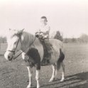 Horse - JayHarrington170