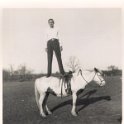 Horse - PotterRoberson172