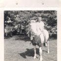Horse - RaymondRoberson191