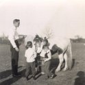 Horse - RobersonPics09 166