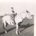Horse - TerryAllgood167