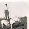 Horse - WadeBlair169