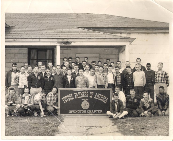 Picture or Video 261