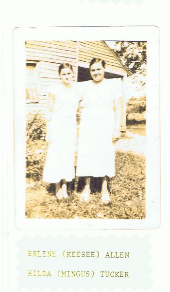 Picture or Video 010