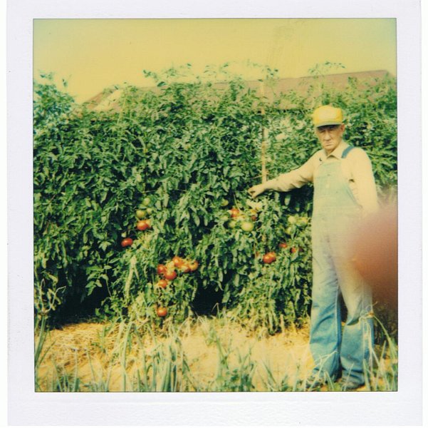 Picture or Video 017