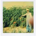 Picture or Video 017