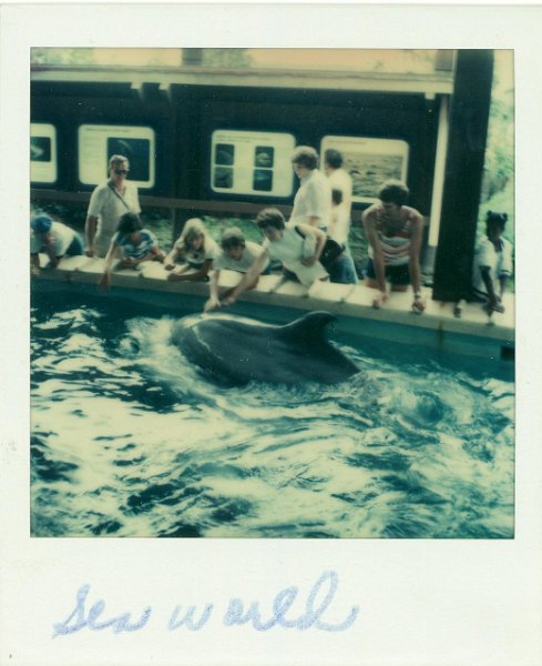 Conder Roberson Sea World275