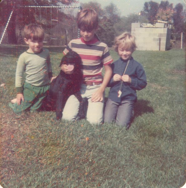 Picture or Video 226