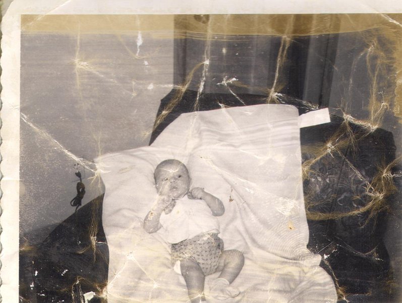 Picture or Video 169