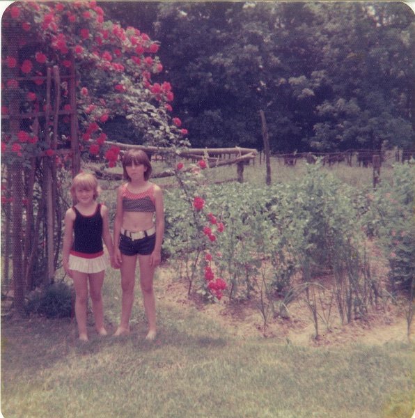 RobinJuanitaRoberson247