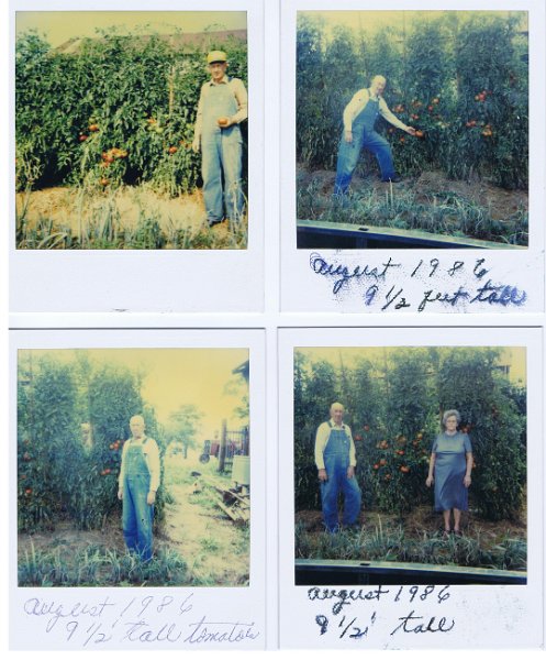 Pictures 019