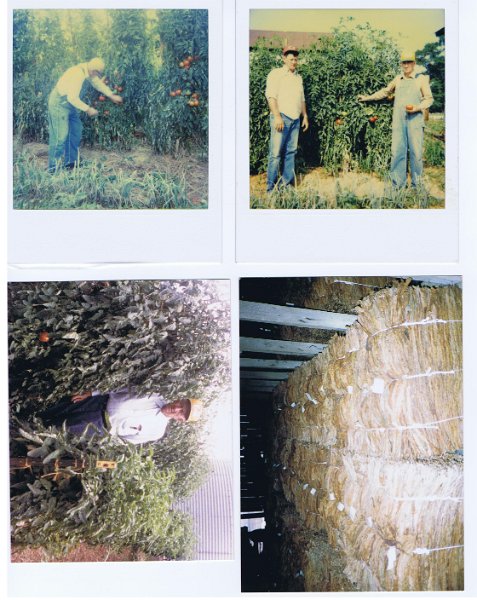 Pictures 021