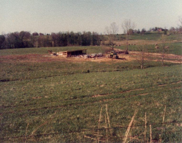 PigsJune1983e