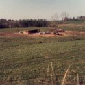 PigsJune1983e