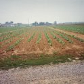 RobersonPics1994h